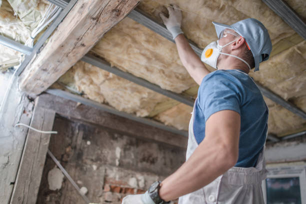 Best Insulation Maintenance and Repair in Hillsboro Beach, FL