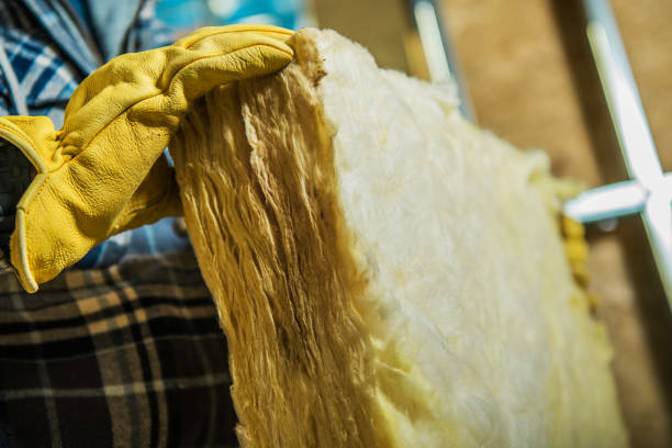 Best Geographic-Specific Insulation Services in Hillsboro Beach, FL